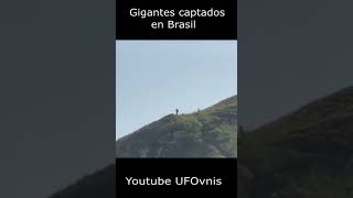 Gigantes captados en Brasil  es verdad esto  shorts miedo aterrador [upl. by Ayela]