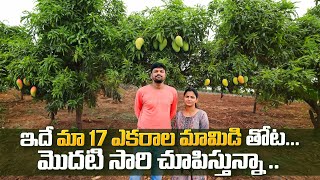 అమ్మ వాళ్లు ఒంటరిగా ఉంటున్నారు  Our 17 Acres Mango Field  10 Acres Of Mosambi Field  Adi Reddy [upl. by Yrac]