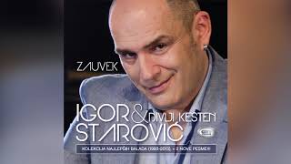 Igor Starovic amp Divlji Kesten  Kristina   Official Audio 2013  HD [upl. by Ten68]