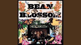 Orange Blossom Special Live 1973 Bean Blossom Indiana [upl. by Adamis]