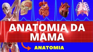 ANATOMIA DA MAMA ANATOMIA HUMANA  ANATOMIA DA MAMÁRIA [upl. by Canty806]