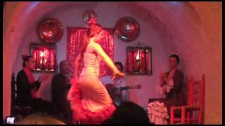 Flamenco Dancing in Granada Spain [upl. by Alicsirp]