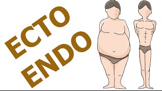 Melhor Treino Para Ectomorfo amp Endomorfo [upl. by Spada]