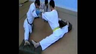 Kyokushin karate traning [upl. by Cutter64]