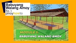 How to Raise Pigs Babuyang Walang Amoy or Odorless Pigpen Episode 1  Pinoy How To [upl. by Jahdiel]