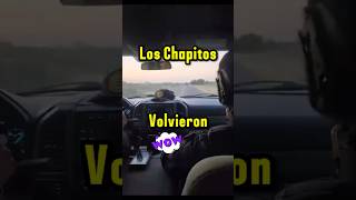 Los chapitos llegan a Sinaloa narcosmexico narcos loschapitos sinaloa culiacan durango lpm [upl. by Verda]