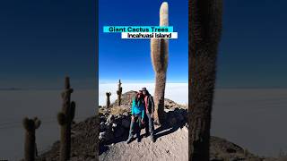 Incahuasi Island a stop on any Uyuni Salt Flats tour 🇧🇴 bolivia southamerica travelshorts [upl. by Skees]