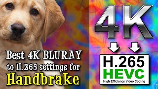 Best Optimal Handbrake Settings to convert 4K BLURAY to H265 HEVC on Mac Windows Linux  JULY 2023 [upl. by Uol962]