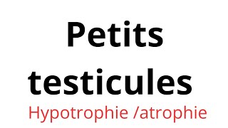 Hypotrophieatrophie testiculaire comment comprendre [upl. by Ennairac]