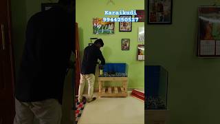 Fish Tank Setup  Karaikudi fishtank fish aquarium [upl. by Ynove]