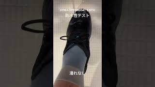 HOKA SPEEDGOAT 5 GTX 防水テスト [upl. by Enoid]