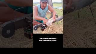 petani kreatif shorts petani [upl. by Colwen56]