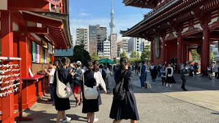 A day out in Asakusa Akihabara Yodobashi Tokyo Station and Shibuya Japan [upl. by Artemisia688]