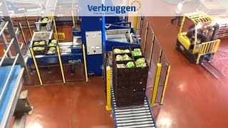 Palletizing  Automatic palletizer machine VPMBL  Verbruggen BoxCrate palletizer  Food products [upl. by Aniarrol552]