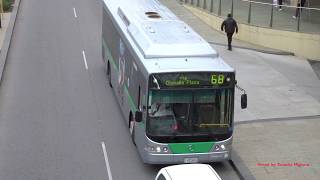 Buses in Perth Australia 2017 [upl. by Almap417]