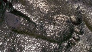 6 Impossible Fossils That Could COMPLETELY Rewrite Human History [upl. by Alysa537]