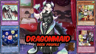 DRAGONMAID Deck Profile Jan 2022 [upl. by Apollo]