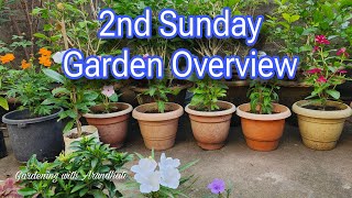 2nd Sunday Garden Overview Garden terracegarden [upl. by Sanburn550]