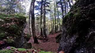 Allgäu MTB trails  Der Staufenberg  Staufen [upl. by Etnovad]