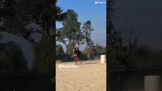 First time ever cantering barrels On Kona [upl. by Skolnik258]