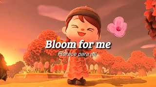 Pearly Drops Bloom for me🌻 español [upl. by Irrok208]