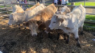 LA ARBOLEDA BARRIO MINERO Hoy FERIA GANADERA Y DEPORTE RURAL [upl. by Cohen]