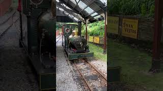 Sea lion on the Groudle glen railway steamengine steamlocomotive loco steamrailway steamloco [upl. by Logan]