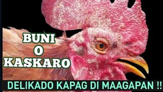 MABISANG GAMOT SA BUNI [upl. by Pepita]