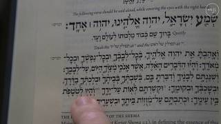 Shema How to Say This Jewish Prayer [upl. by Sonnnie]