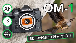 OM1 Settings Explained AF IBIS Buttons  For Birds in Flight Motorsports and More [upl. by Eatnom]