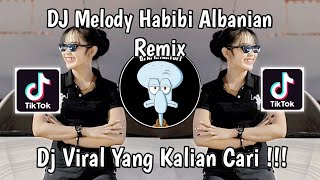 DJ MELODY HABIBI ARABIAN REMIX  DJ MELODY KANE FEXD RMX VIRAL TIK TOK TERBARU 2024 [upl. by Morgan819]