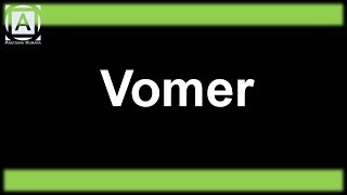 Vomer [upl. by Tella]