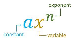 What is a Polynomial [upl. by Rube]