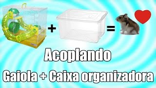 DIY 5 ACOPLANDO  Gaiola com Caixa organizadora HAMSTERS [upl. by Ehrsam361]