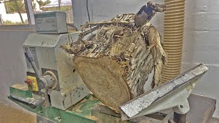 Woodturning  this is what you can turn firewood into [upl. by Meelak882]