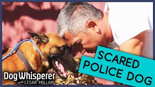 Heartbreaking K9 Dog Is Terrified Of Everything 😰  Dog Whisperer With Cesar Millan [upl. by Artek514]