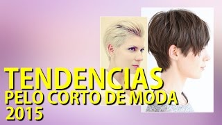 Cortes de pelo corto Tendencias 2015 [upl. by Eilatan742]