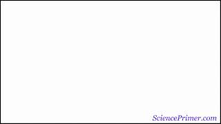 Boyles Law Calculations [upl. by Colville]