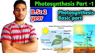 Photosynthesis part1 BSc 2 year Plant physiology [upl. by Gloria]