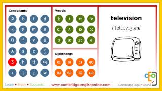 Phonemic Chart Animated Complete [upl. by Volnak]