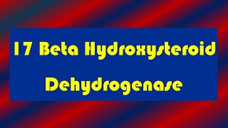 17 Beta Hydroxysteroid Dehydrogenase Deficiency [upl. by Ragouzis]