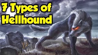 What Are Hellhounds  7 Types of Hellhound From Great Britain amp The Rest of Europe [upl. by Biagi]