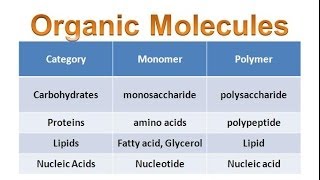 Organic Molecules amp Carbohydrates honors biology updated [upl. by Carlisle]