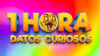 1 HORA DE DATOS CURIOSOS Y CURIOSIDADES ⏰😲 [upl. by Garret]