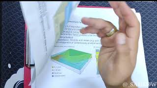 Sedimentology and Stratigraphy Lecture 4Sedimentary Facies and Lithostratigraphic unit الجزء الاول [upl. by Jewel]