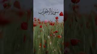 HeartTouching Surah AlAhzab Tilawat by Shaikh Yasir Adausary  Feel the Peace [upl. by Kate]