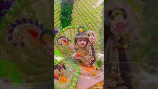 नाम है तेरा तारणहाराKrishnabhajanShortsYtshortsYoutubeViralvideoBhaktiSongStatusMusicviral [upl. by Perrie]