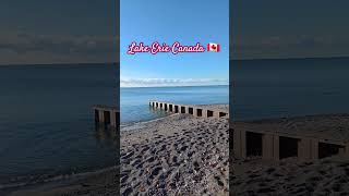 Lake Erie Canada 🇨🇦 trending shortsvideo travel viralnow viralvideos [upl. by Aikkan]