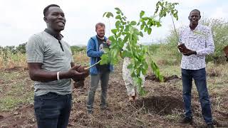 TREE PLANTING ACTIVITY AT ICT GREEN SPACE ISIOLO [upl. by Retrop419]