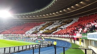 Österreich  Irland 01 00 WMQuali 2018 Russland 12112016 Choreo [upl. by Brine]